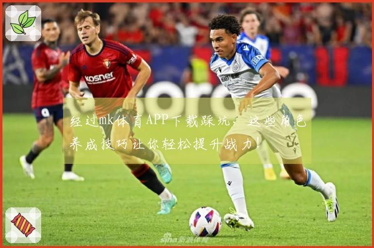 经过mk体育APP下载踩坑，这些角色养成技巧让你轻松提升战力！