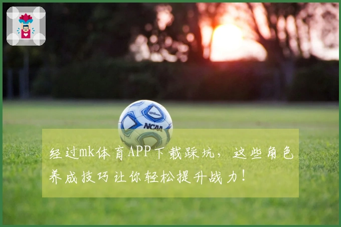 经过mk体育APP下载踩坑，这些角色养成技巧让你轻松提升战力！